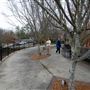 Glencairn Gardens