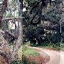Steamboat Landing Road