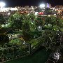 Jungle Lagoon Putt-Putt Golf Amusement Park