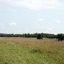 Freshwater - Old South Road
