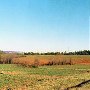 Sc Road 39