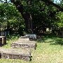 Prince George Cemetary