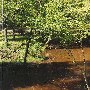 Barry's Mill Pond