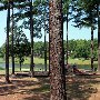 Veteran's Park