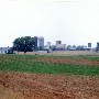 Busby Farm