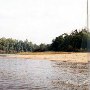 Congaree River (area north of Hwy. 601)