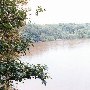 Congaree River (Buyck's Bluff Farm)