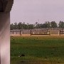 Springdale Horse Race Track (Steeplechase) - Stable E-3
