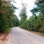 Old Bluff Road
