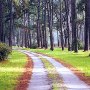 Botany Bay Plantation Heritage Preserve