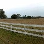 Sease Angus Farm