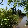Train Tressle on Congaree River 1026