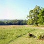 Chesnee - Open Fields