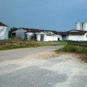 SC DJJ - Farm Area