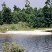 Hatchery Boat Landing/ Waterfowl Management Area