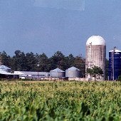 Brubaker Farms