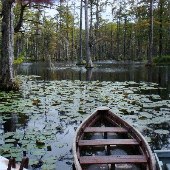 Cypress Gardens