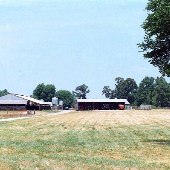 Clinton Dairy