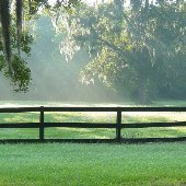 Boone Hall Plantation - Farm Looks