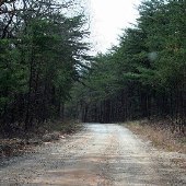 Eva Russell Chandler Heritage Preserve