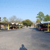 Piggy Park Car Hop