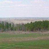Old Motte - Field