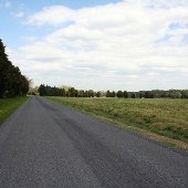 Mobley Store Road
