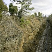 South Carolina Railroad Museum- Greenbriar Cut