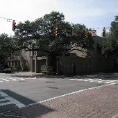 College of Charleston - St. Phillip Street