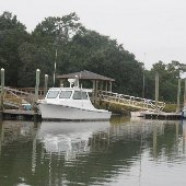 Jeremy Creek