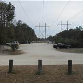 Palmetto Islands County Park - Dog Park