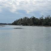 Palmetto Islands County Park - Kayak Dock