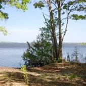 Lake Moultrie - Cross Area (Wilderness View)