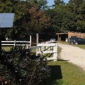 Thornhill Farms-Potting Barn