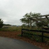 Kiawah Island - Mingo Point