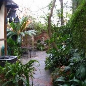 Gardens of Charleston - Gaye Sanders Fisher Gallery