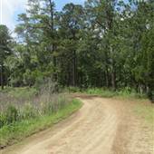 Nemours Wildlife Foundation - Road 2
