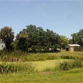 Botany Bay - Cottage Clearing