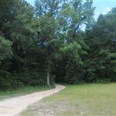 Dungannon Plantation - Hunt Camp Rd B