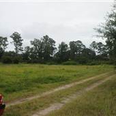 Kiawah River Plantation - Buck Coon