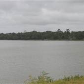 Kiawah River Plantation - Salt Pond