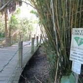 Boone Hall Plantation - Nature Walk (Sept. 2012)