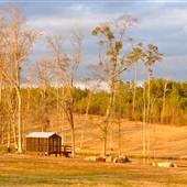Flatrock Creek Farm