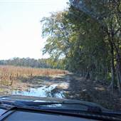 Halidon Hill - Rice Fields-Fields-swamps #07 Lane Field