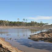 Halidon Hill - Rice Fields-Fields-swamps #11 41 Clear Cut
