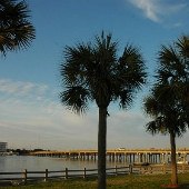 Folly River Bridge (Hwy 171)