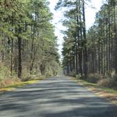 Bennett’s Point Road - Hwy. 17 to Airy Hall Plantation