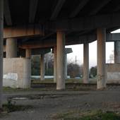 King Street- Under I-26