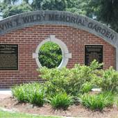 Technical College of the Lowcountry - Overview