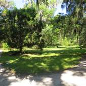 Magnolia Plantation & Gardens MAY LOOKS - Around the Horticultural Maze Area